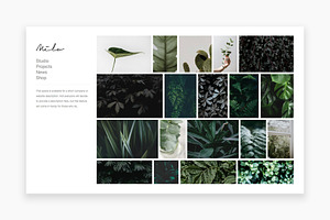 Milo - Photography WordPress Theme