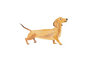 Dachshund Dog Illustration, an Illustration by Foxery Digital (Thumbnail 2 of 5)