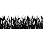Agriculture Field Silhouette Pack, an Illustration by jahid234 (Thumbnail 9 of 9)