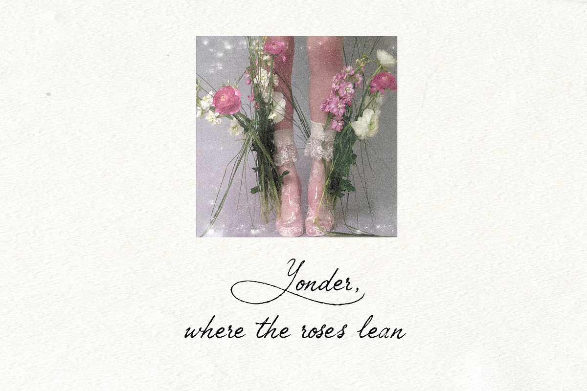Petal Yonder: Airy Script Font, a Script Font by Mneme (Photo 4 of 9)