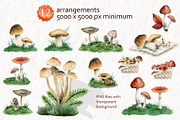 Forest Mushrooms: Edible & Poisonous, a Seasonal Illustration by Elena Malgina Clipart (Thumbnail 3 of 13)