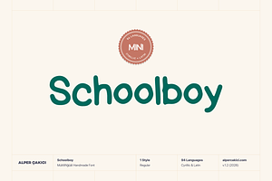 Schoolboy Playful Font, a Script Font by alpercakici