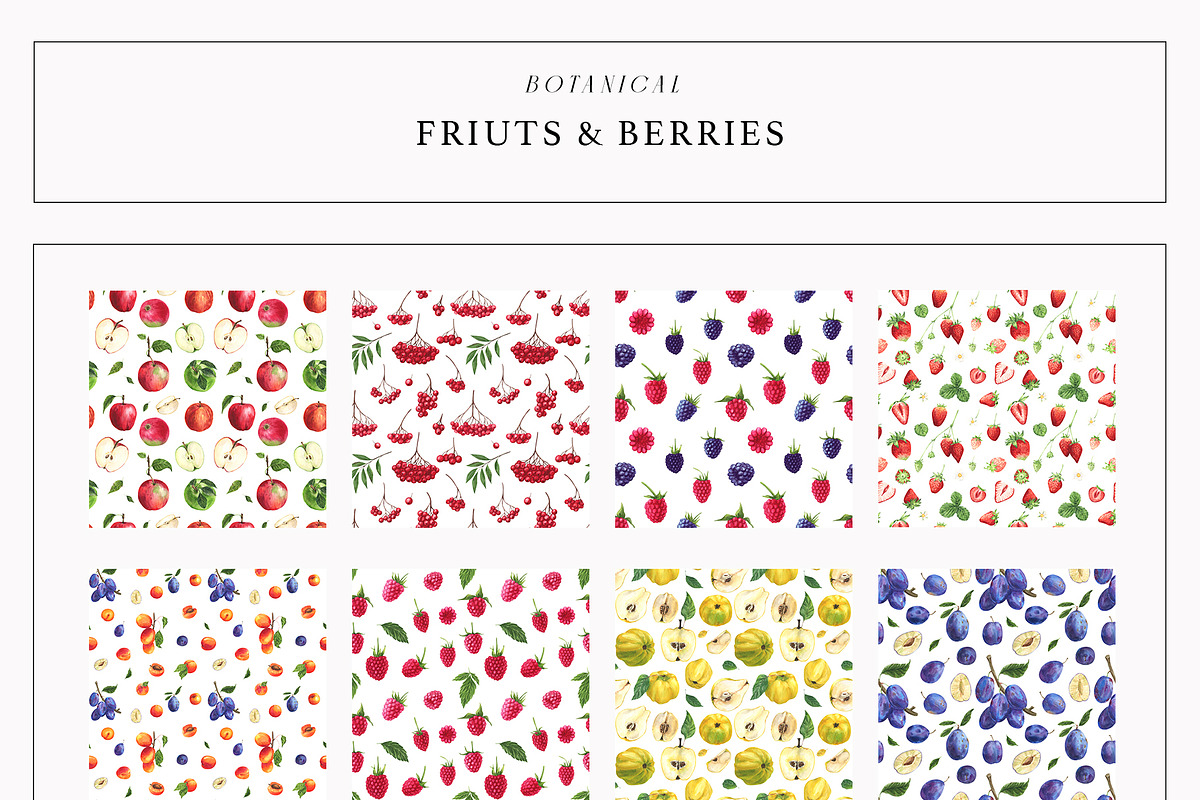 Fruits & Berries Botanical, a Food Illustration by LiChu Art (Photo 11 of 14)