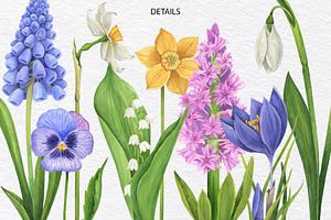 Watercolor Wild Spring Flowers Set