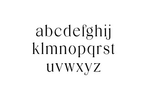 Discographica Classic Serif Font