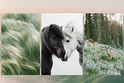 230 Sage Green Stock Images Bundle, a Beauty & Fashion Photo by Allure Art (Thumbnail 14 of 33)