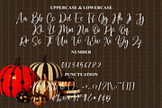 Holiday, a Handwritten Font by FreshTypeINK (Thumbnail 1 of 8)