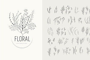 Floral Branch Collection