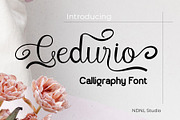 Cedurio - Calligraphy Font, a Script Font by NDNL Studio (Thumbnail 1 of 6)