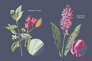 Vintage Flower Illustrations Bundle, an Illustration by Greta Ivy (Thumbnail 12 of 62)