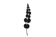 Botanical bundle - svg, png, a Decorative Illustration by Watercolor_Vector Graphic (Thumbnail 13 of 26)