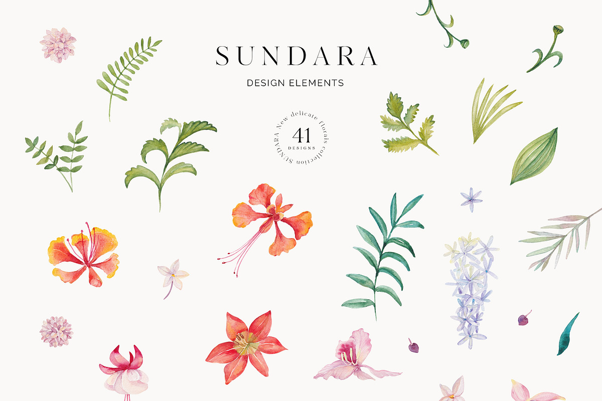 Sundara floral collection, an Illustration by SoNice (Photo 12 of 14)