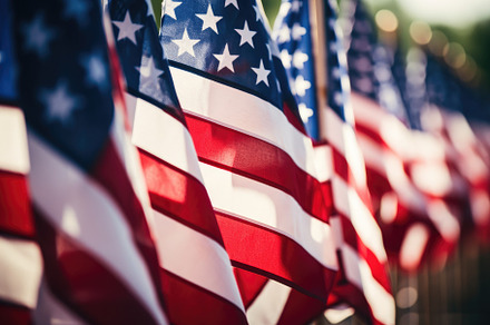 Closeup of American flags with shall, a Photo by Iftikhar Alam