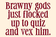 CS Adley Stamp, a Serif Font by Craft Supply Co. (Thumbnail 5 of 8)