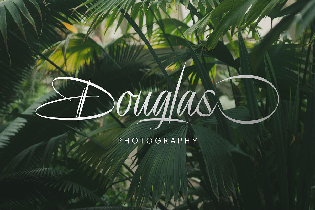 Delion | Signature Font, a Script Font by Lemonthe (Photo 7 of 10)