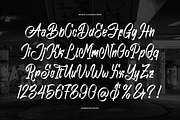 Phantom Asylum Graffiti Script Font, a Handwritten Font by Denustudios (Thumbnail 10 of 12)