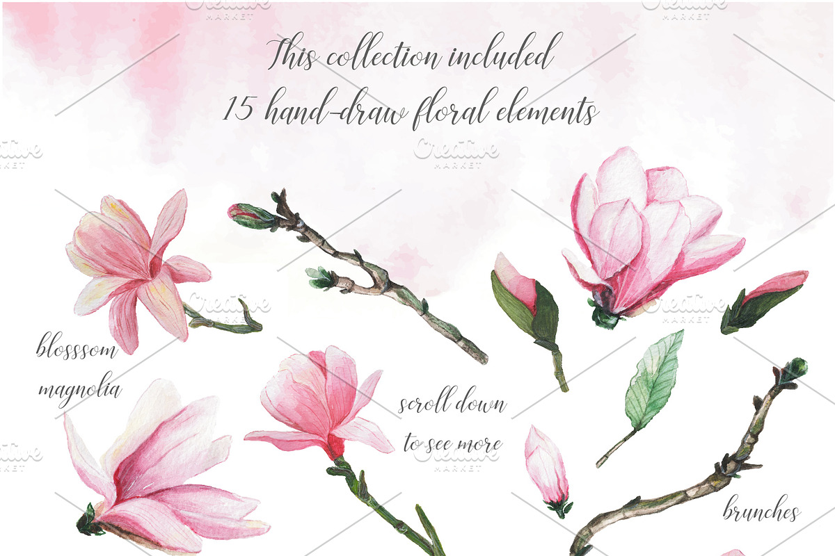 Blossom Magnolia watercolor clipart, an Illustration by digital_essence (Photo 2 of 6)