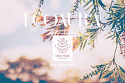 ORGANIC AESTHETIC LOGO COLLECTION, a Branding & Logo Template by Luna Dreams (Thumbnail 1 of 10)