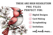 Whimsical Spring Bird Clipart, an Illustration by OK Design (Thumbnail 6 of 6)