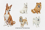 15 Bundle Watercolor Big Dog Fluffy, an Animal Illustration by Morspective (Thumbnail 6 of 8)