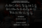 Handmade Calligraphy, a Handwritten Font by FreshTypeINK (Thumbnail 7 of 8)