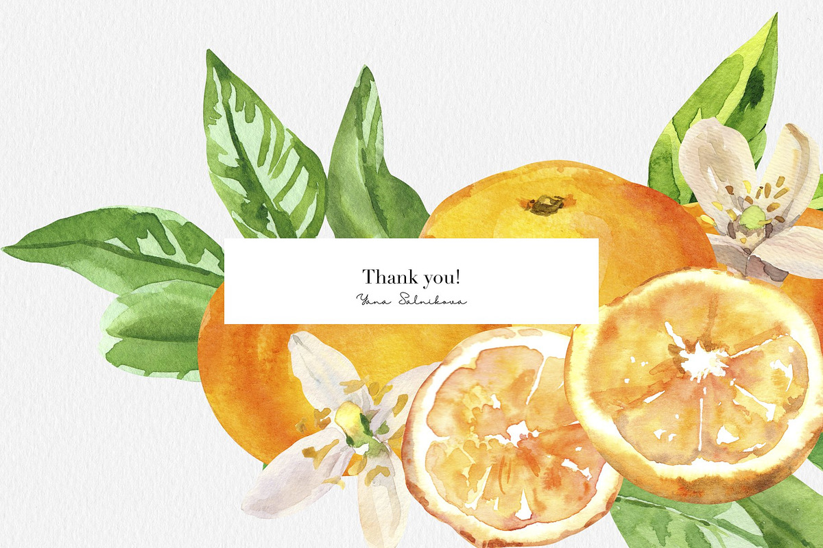 Citrusy Fruits watercolor collection, a Decorative Illustration by Volha Studio (Photo 10 of 10)