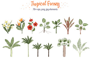 Tropical Frenzy