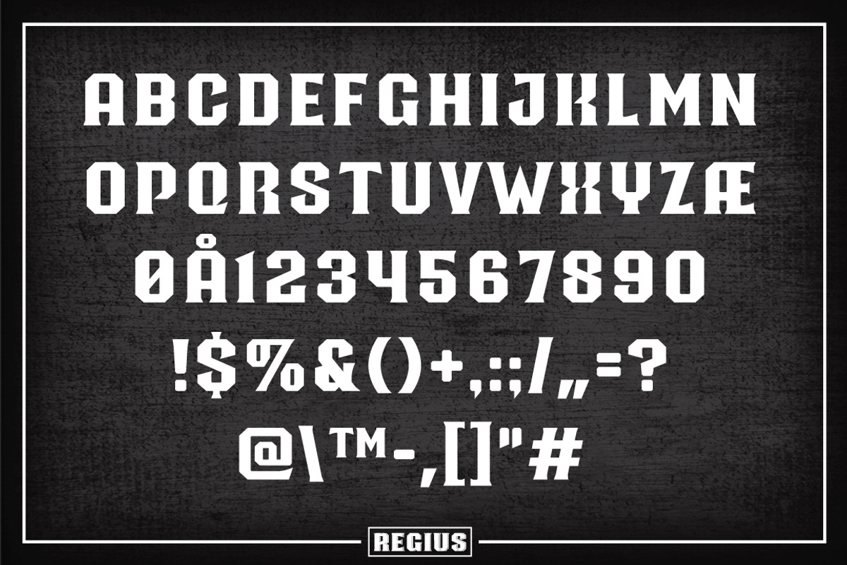 Regius Typeface, a Serif Font by Jan-Christian Bruun (Photo 10 of 12)