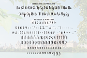 Dayton | Script Font, a Handwritten Font by Scratchones (Thumbnail 7 of 9)