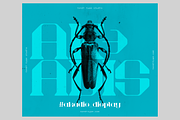 Akadis Display Font, a Serif Font by Tondi Type Studio (Thumbnail 18 of 18)