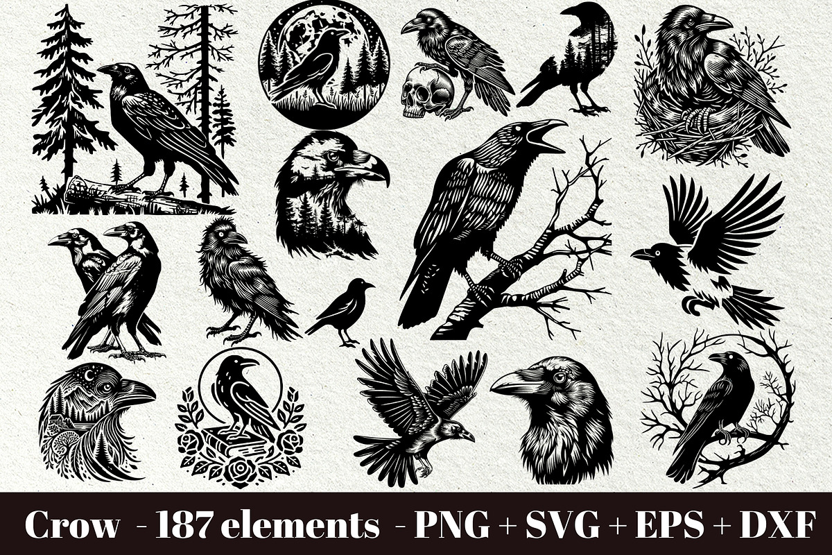 Crow SVG File. Raven Clipart PNG, an Animal Illustration by DENIDigitalArtSudio (Photo 1 of 8)
