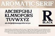 Espena, a Serif Font by Sulthan Studio (Thumbnail 8 of 14)