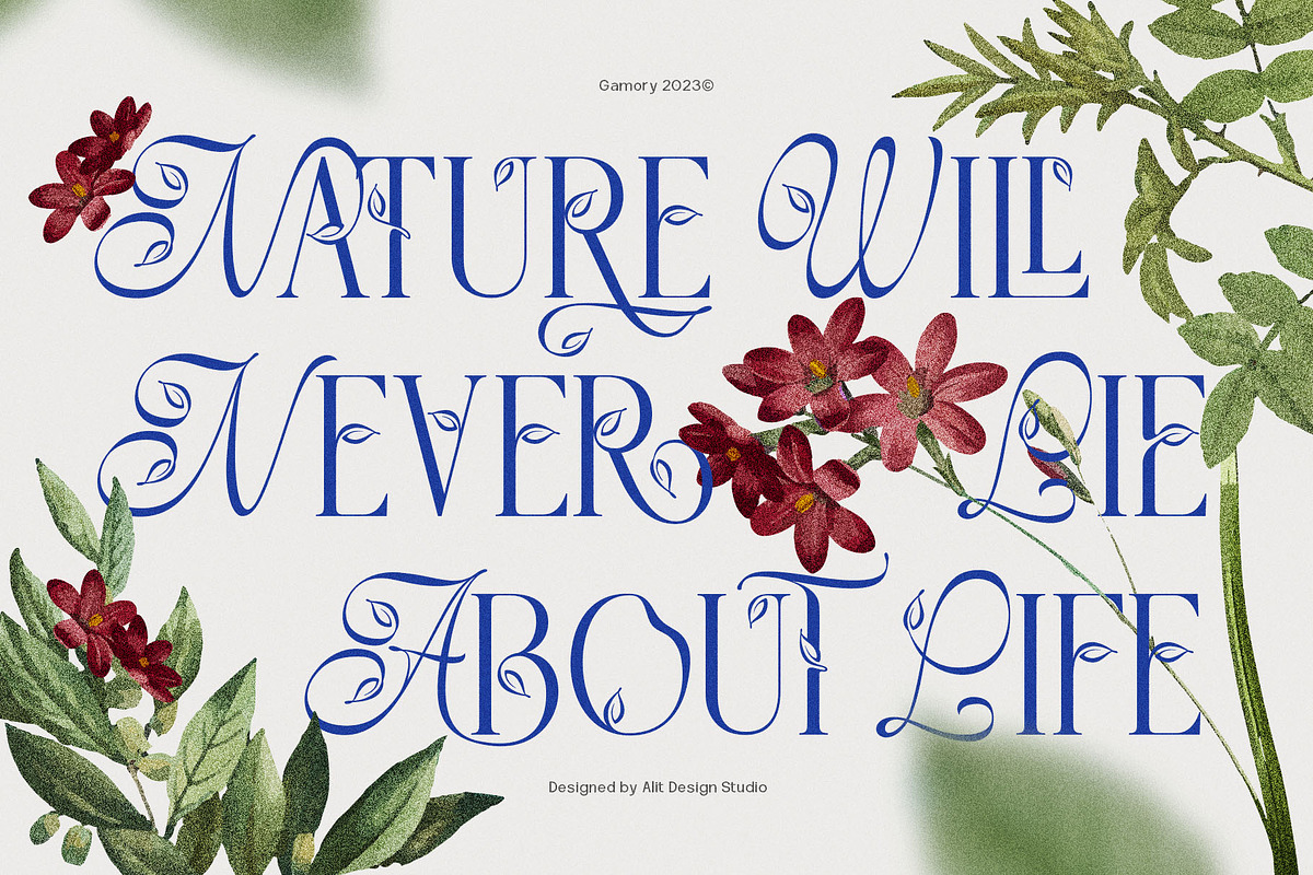 Gamory Typeface, a Serif Font by alit design (Photo 15 of 21)