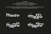 Rachael Script + Bonus Font, a Script Font by Debut Studio (Thumbnail 4 of 10)