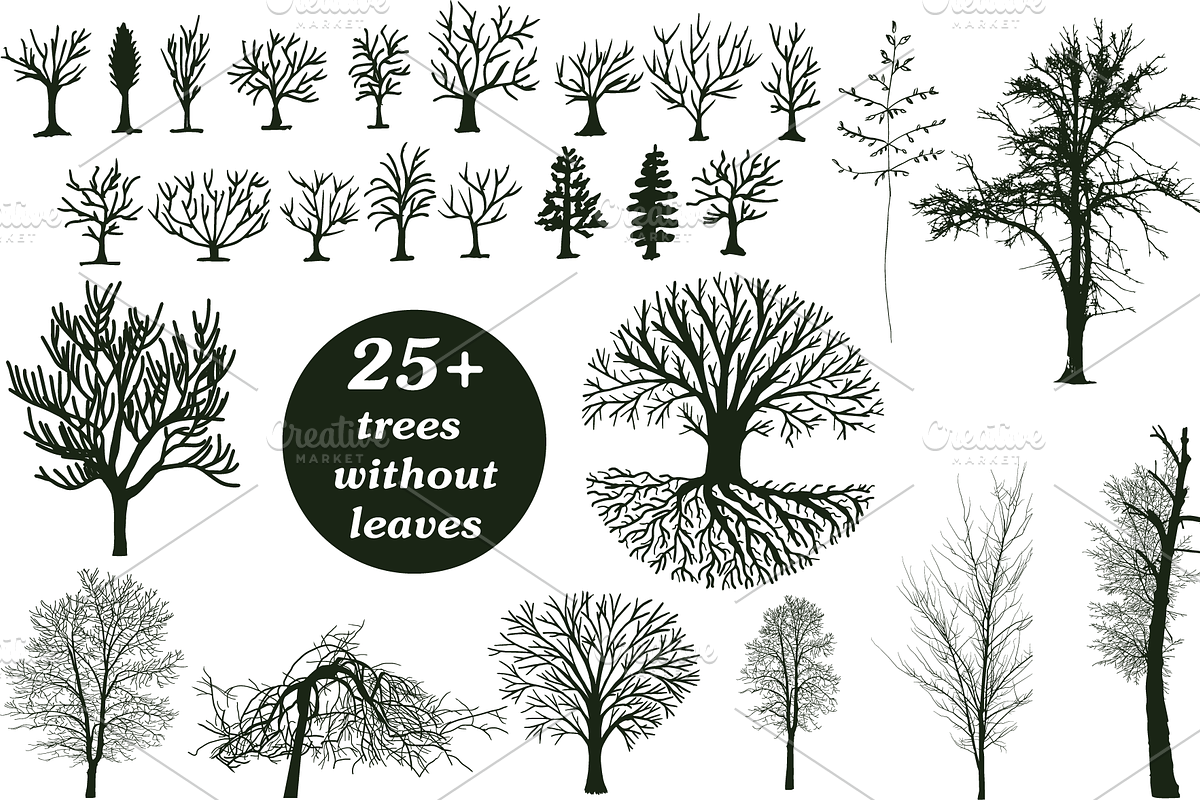 25+ trees without leaves, an Object Graphic by ОльгаМороз (Photo 1 of 4)