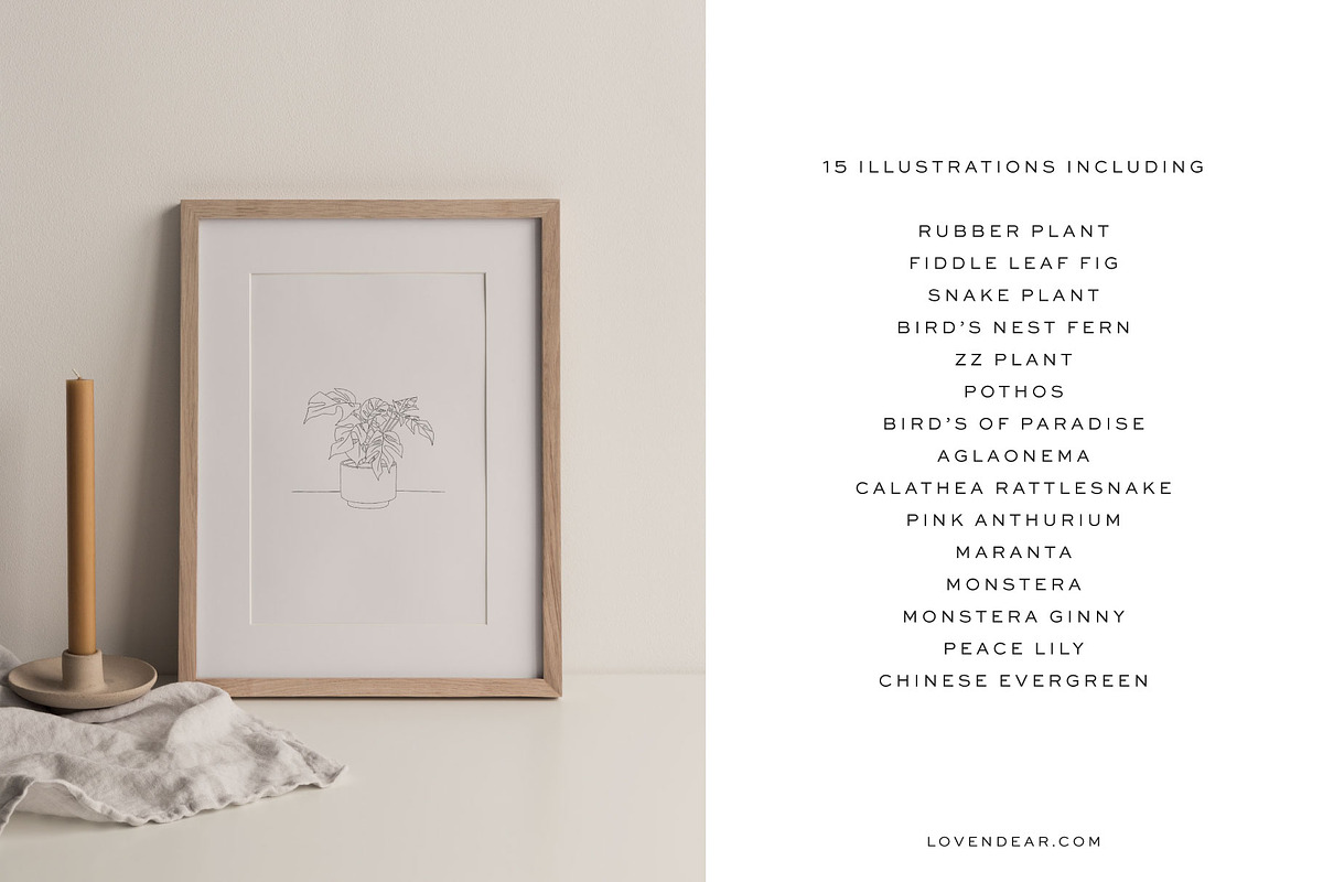 House Plant-Vector Illustration Pack, an Illustration by Lovendear Design (Photo 2 of 9)