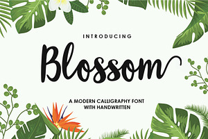 Blossom Script | Elegant Font