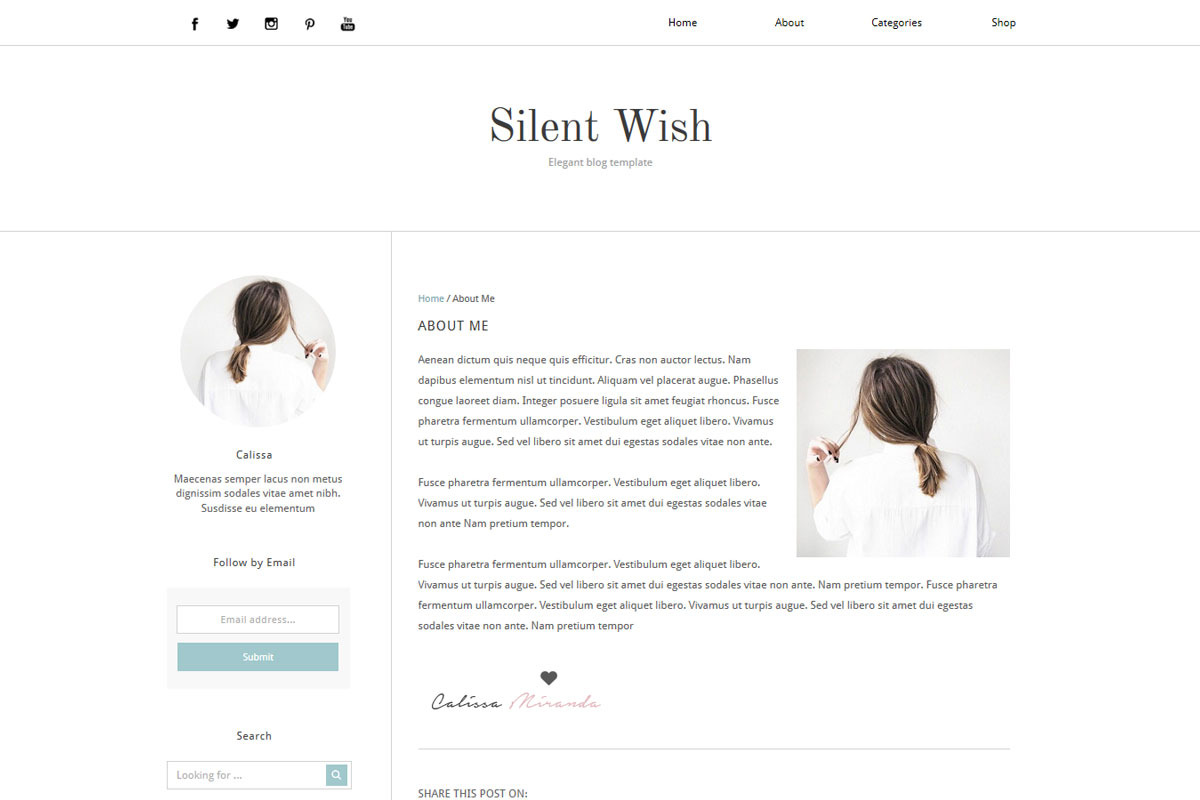 Blogger Template - Silent Wish, a Websites & App Template by Vefio Themes (Photo 2 of 5)