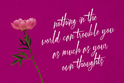 Signastory, a Script Font by SusiType (Thumbnail 3 of 8)
