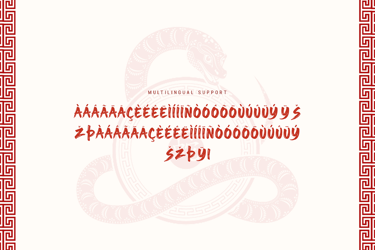 Snake Viper - A Modern Chinese Font, a Sans Serif Font by overlaytemplates (Photo 8 of 8)