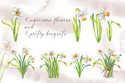 Narcissus mood & little things, an Illustration by WatercolorAnn (Thumbnail 2 of 11)