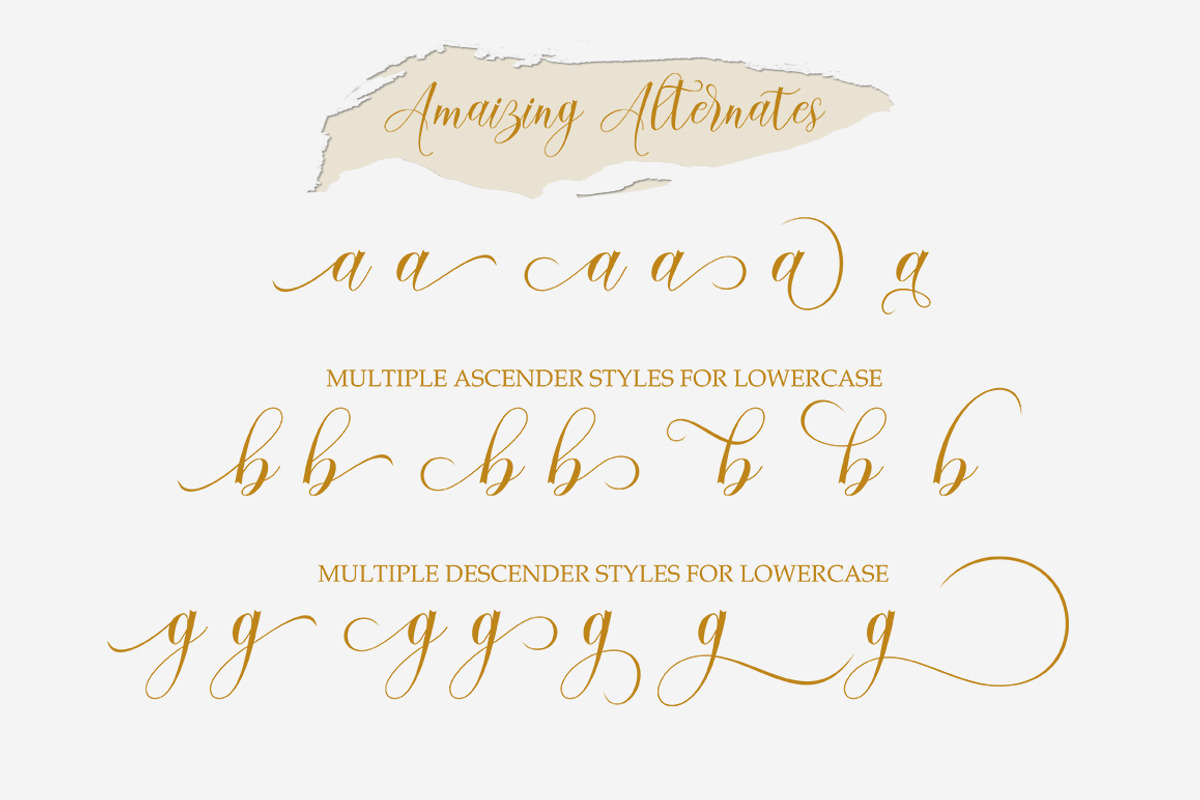 Seychell  Script, a Script Font by Rotterlab Studio (Photo 4 of 8)