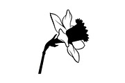 Floral Ornament Silhouette Bundle, an Illustration by BIPLOB EXPERT (Thumbnail 36 of 51)