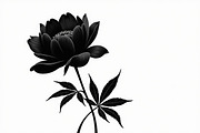 Floral Corner & Border Bundle, an Illustration by BIPLOB EXPERT (Thumbnail 8 of 9)