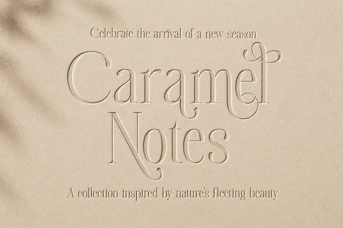 Megalme - Modern Serif Display Font, a Serif Font by Megatype (Photo 12 of 17)