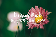 Daisies Pack, a Templates & Theme by ApertureVintage (Thumbnail 2 of 14)