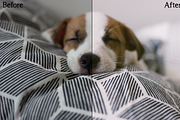 Film Style Lightroom Presets, an Action Add-On by Alena Ermakova (Thumbnail 5 of 9)