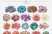 Fantastic Corals, an Object Graphic by Freezerondigital (Thumbnail 4 of 10)