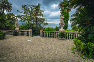 Beautiful public garden with plants, a Nature Photo by Alpine Dreams