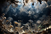 72 Microscopic Fungi Backgrounds, a Background Graphic by h.utomo (Thumbnail 46 of 72)